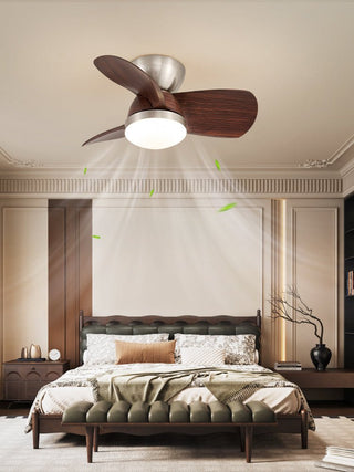 Plafonnier Ventilateur Dyms
