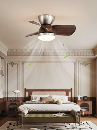 Plafonnier Ventilateur Dyms