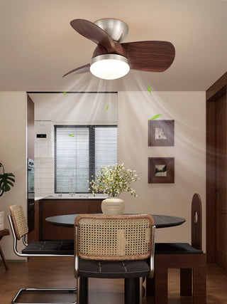 Plafonnier Ventilateur Dyms