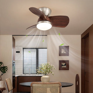 Plafonnier Ventilateur Dyms