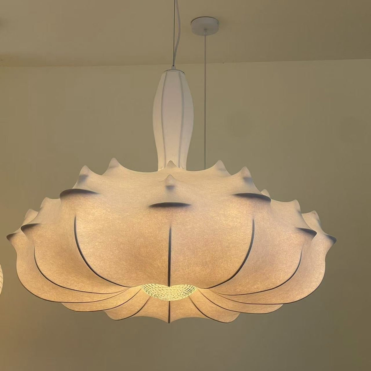 Noralette Suspension