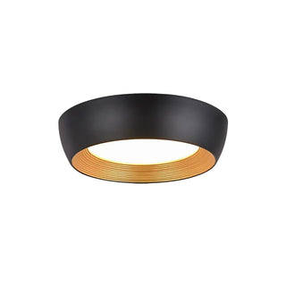 AFX Lustra Plafonnier Acrylique Minimaliste Duncan