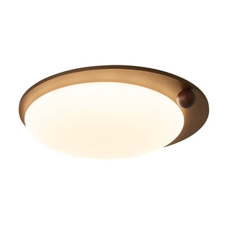 Wood Accent Ceiling Light-Neutral Decor