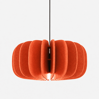Elaeliella Suspension