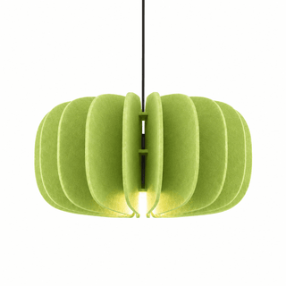 Elaeliella Suspension