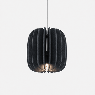 Elaeliella Suspension