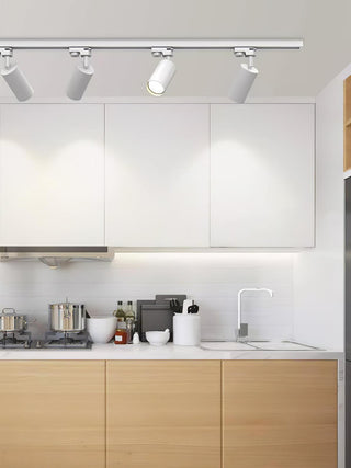 Adjustable Plafonnier Projecteur Rail LED-Luire