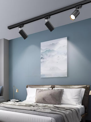 Adjustable Plafonnier Projecteur Rail LED-Luire