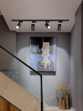Adjustable Plafonnier Projecteur Rail LED-Luire