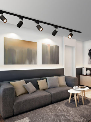 Adjustable Plafonnier Projecteur Rail LED-Luire