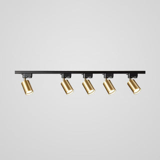 Adjustable Plafonnier Projecteur Rail LED-Luire