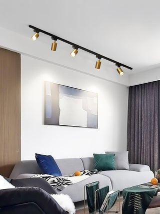 Adjustable Plafonnier Projecteur Rail LED-Luire