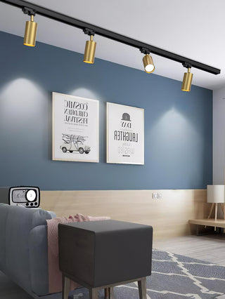 Adjustable Plafonnier Projecteur Rail LED-Luire