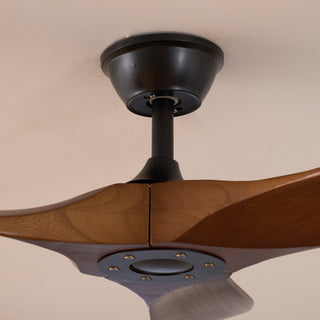 Ventilateur de plafond en bois Aviona