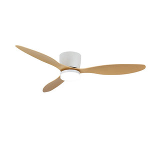 Ventilateur de plafond minimaliste Knox avec lumière