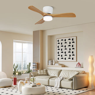 Ventilateur de plafond minimaliste Knox avec lumière