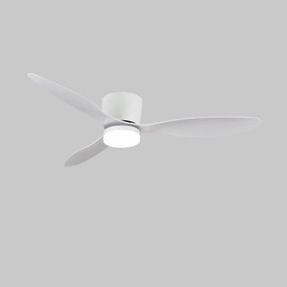 Ventilateur de plafond minimaliste Knox avec lumière