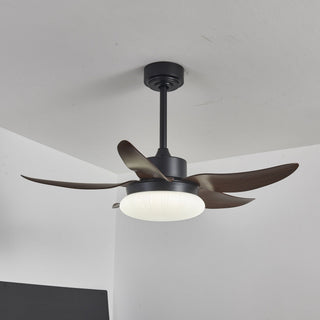 Zerith Ventilateur de Plafond Moderne en Bois avec Lumière