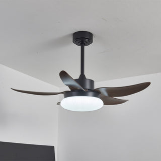 Zerith Ventilateur de Plafond Moderne en Bois avec Lumière