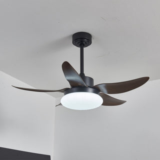 Zerith Ventilateur de Plafond Moderne en Bois avec Lumière