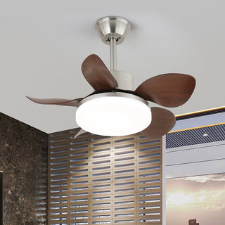 Ventilateur de Plafond Aurefan en Bois avec Lumière