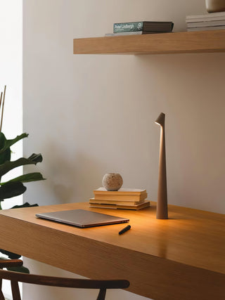 Nirerora Acrylique Minimaliste pour Lampe de Table