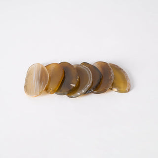 Lustra Lustre Feuille Colorée Bras Dorés