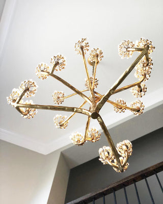 Agave Lustre en Cristal Luxueux
