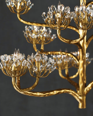 Agave Lustre en Cristal Luxueux