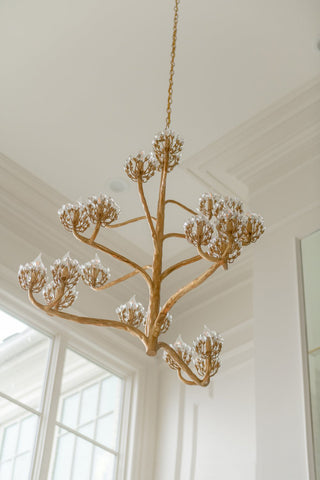 Agave Lustre en Cristal Luxueux