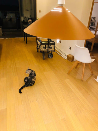 Agnes Lampe Suspension Rétro de Style Moderne Minimaliste