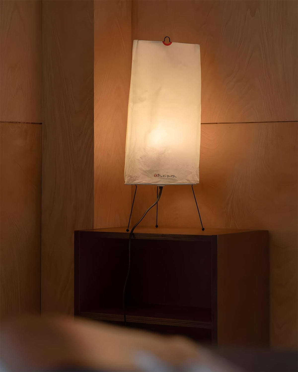 Teriaia Lampe de Table
