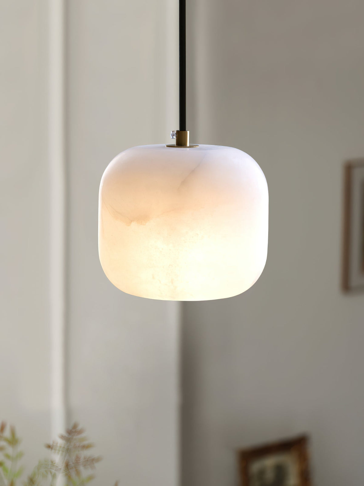 Viraeline Suspension