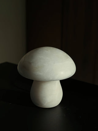 Selanise Lampe à Poser