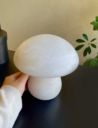 Selanise Lampe à Poser