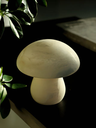 Selanise Lampe à Poser