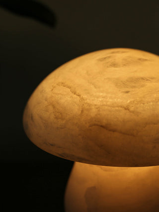 Selanise Lampe à Poser