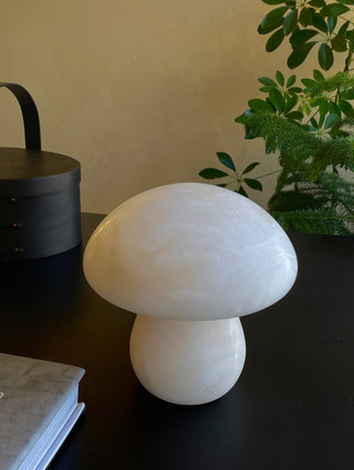Selanise Lampe à Poser