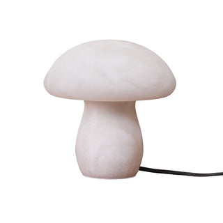Selanise Lampe à Poser