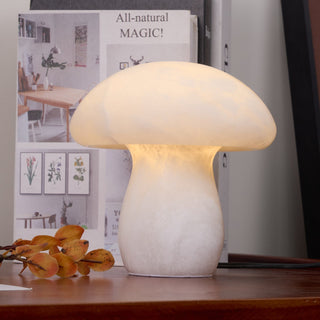 Selanise Lampe à Poser