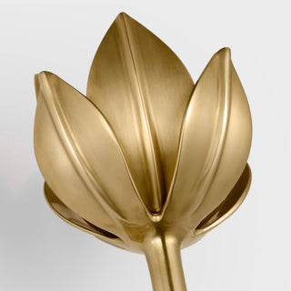 Clira Applique Murale en Laiton Lotus Bloom