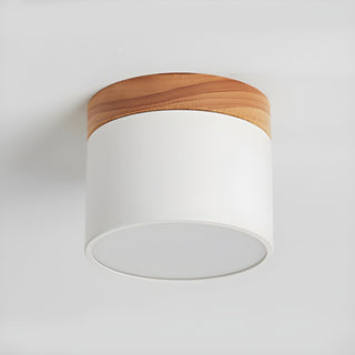 Caveleth Downlight de Surface en Bois Minimaliste Moderne