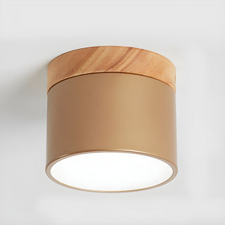 Caveleth Downlight de Surface en Bois Minimaliste Moderne