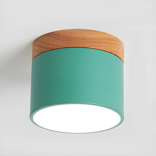 Caveleth Downlight de Surface en Bois Minimaliste Moderne