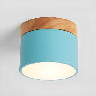 Caveleth Downlight de Surface en Bois Minimaliste Moderne