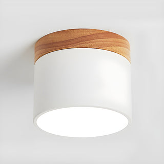 Caveleth Downlight de Surface en Bois Minimaliste Moderne