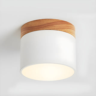 Caveleth Downlight de Surface en Bois Minimaliste Moderne