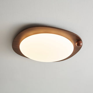 Velaee Lampe Plafonnier Art Nordic Premium