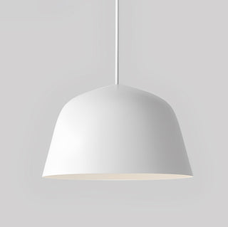 Wylsan Suspension