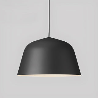 Wylsan Suspension